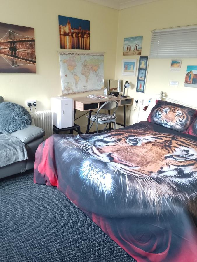Studio Pad Appartement Cardiff Buitenkant foto